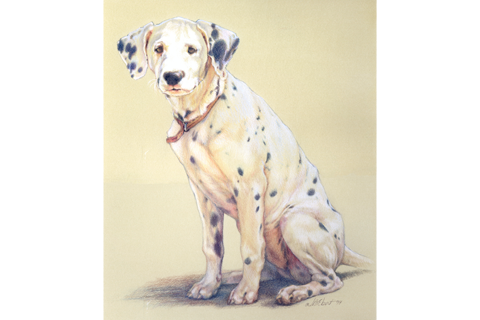 Colored Pencil